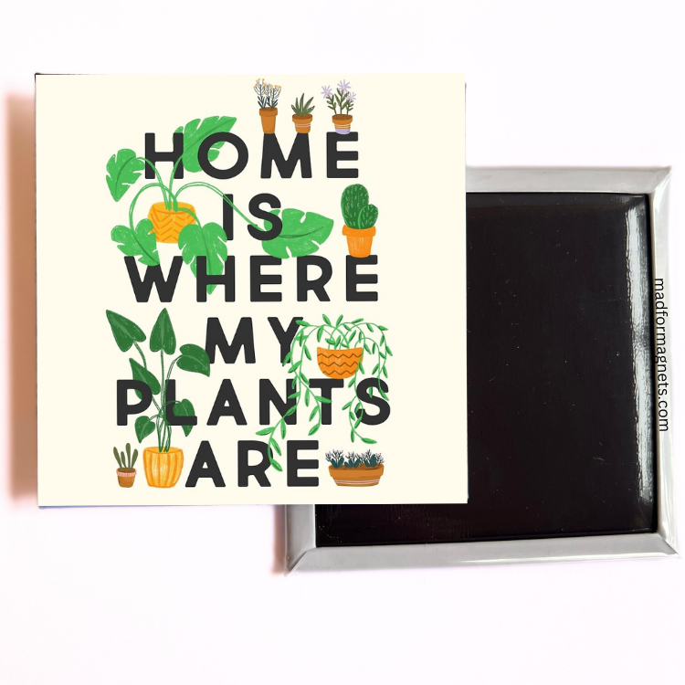 Home Is Where My Plants Are both sides