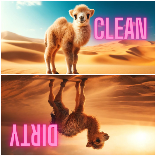 A 2.5x2.5-inch dishwasher magnet featuring a clean camel on one side and a muddy, dirty camel on the other.