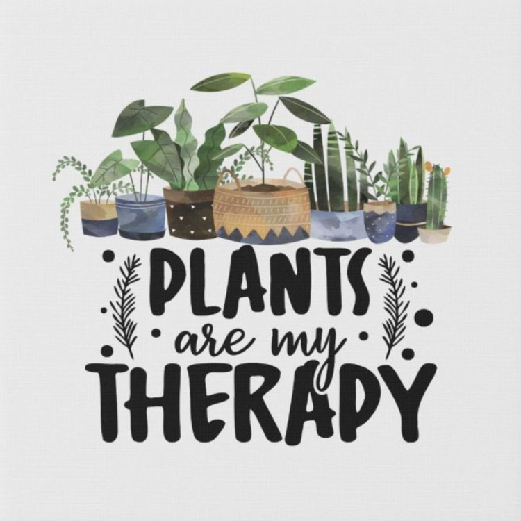 Plants are like my therapy 